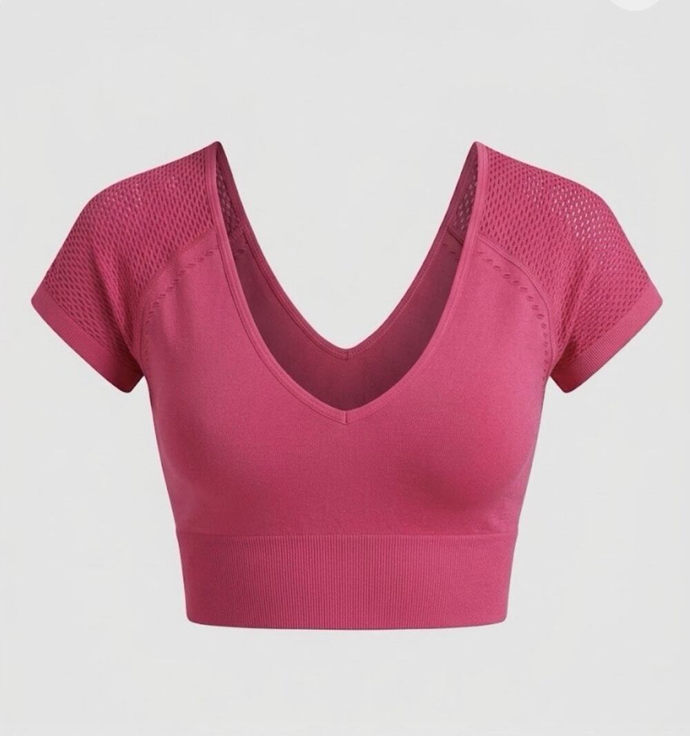 OFFLINE By Aerie Pink Seamless Crop Top Mesh Short Sleeve V-Neck Sise S NWT